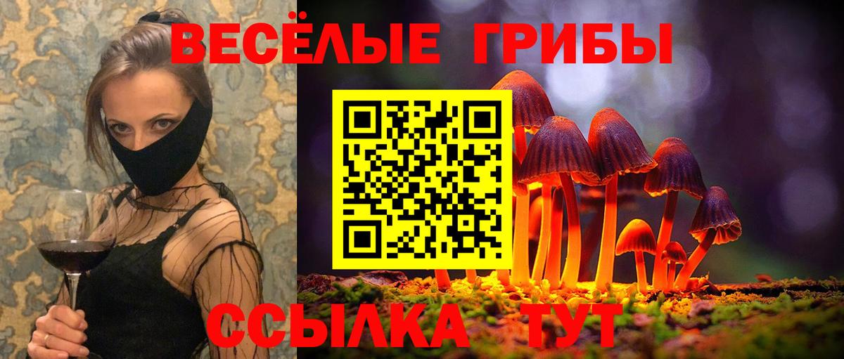 Коломна  Псилоцибиновые грибы Cubensis  Вход с VPN 