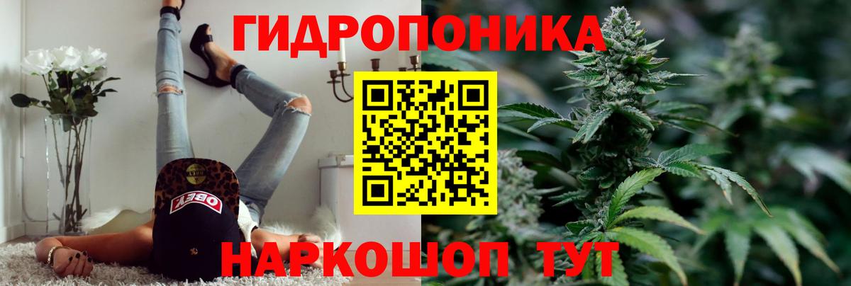 Канабис сатива Коломна